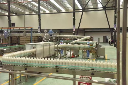 首屆中國綦江食品工業高質量發展大會將于12月4日舉行，聚焦食品銷售新機遇