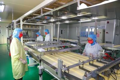 鉚足干勁忙生產，產業發展勢頭足——透視現代食品生產的蓬勃氣象